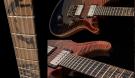 Paul Reed Smith Private Stock Custom 24 Walking Zombie